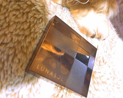 ウォームキャンドルアイズ/LUNASOL/アイシャドウパレットを使ったクチコミ(1枚目)