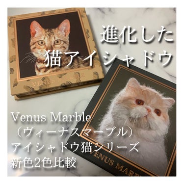 Venus Marble アイシャドウキャットシリーズ/Venus Marble/アイシャドウパレットを使ったクチコミ（1枚目）