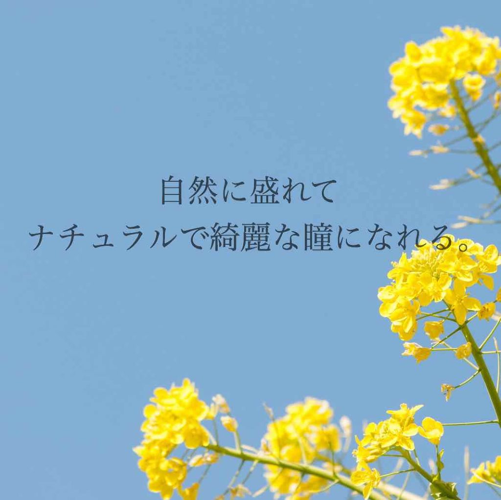 デコラティブアイズ ヴェール/Decorative Eyes/カラーコンタクトレンズを使ったクチコミ（1枚目）