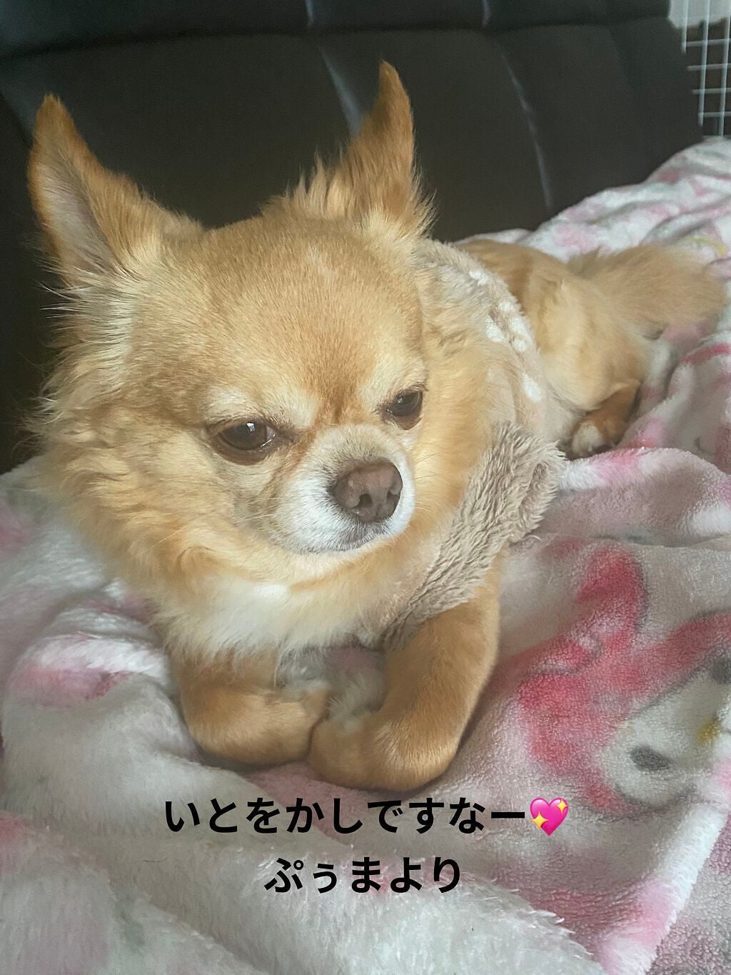 カラフルネイルズ/キャンメイク/マニキュアを使ったクチコミ(7枚目)