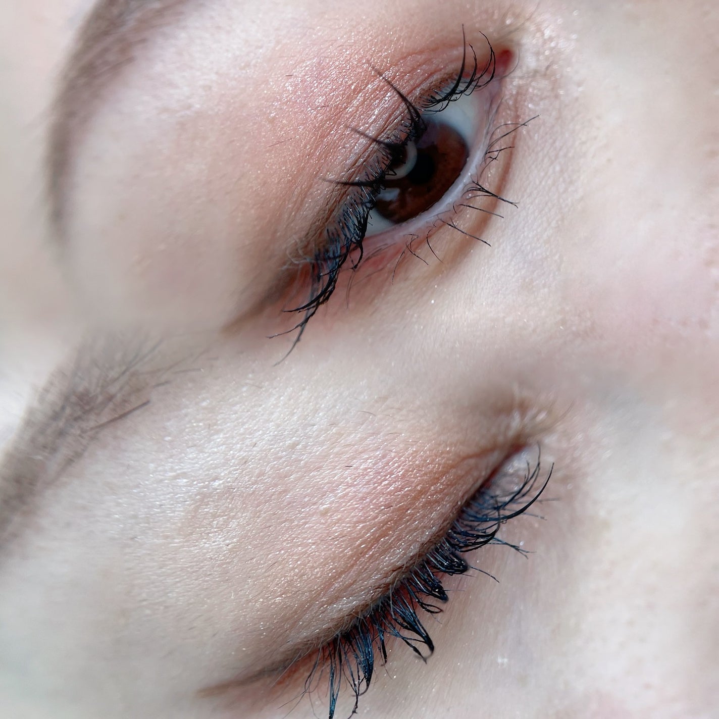 Asami on LIPS 「𝗲𝘁𝘁𝘂𝘀𝗮𝗶𝘀𝟮𝟬𝟮𝟰𝗪𝗜𝗡𝗧𝗘𝗥𝗖𝗢𝗟𝗟𝗘𝗖𝗧𝗜𝗢𝗡⌒⌒..」(3枚目)