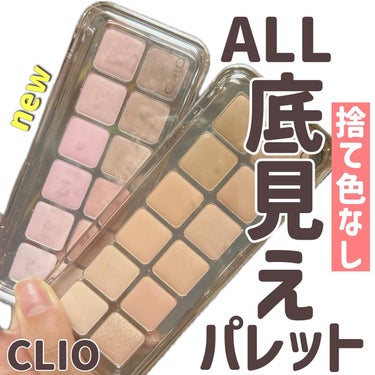 プロ アイ パレット エアー/CLIO/アイシャドウパレットを使ったクチコミ（1枚目）