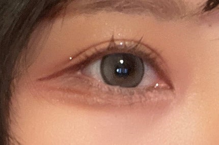 rain 1day シベリアングレー/rain/ワンデー(1DAY)カラコンの画像