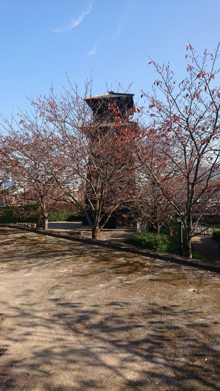 にゃーにゃ一団 on LIPS 「新川(・・;)今日も昼前すぎから親と妹といつもの散歩コースに行..」(3枚目)