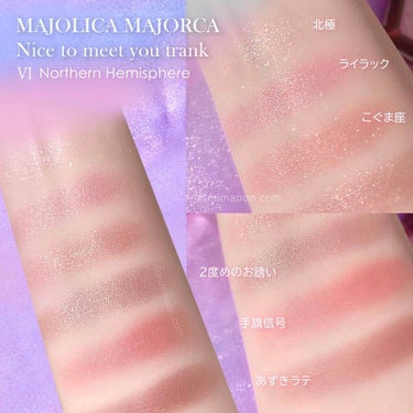 ナイストゥミーチュートランク/MAJOLICA MAJORCA/パウダーアイシャドウを使ったクチコミ（2枚目）