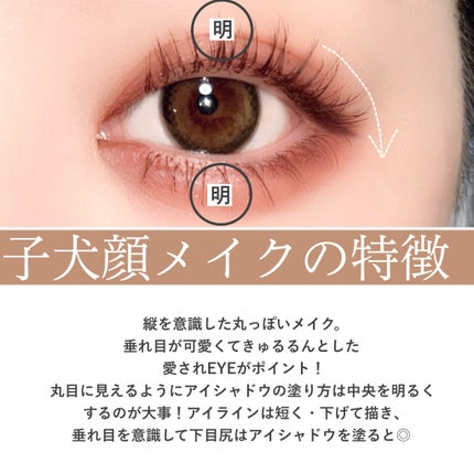 feliamo 1day/feliamo/ワンデー(1DAY)カラコンを使ったクチコミ(2枚目)