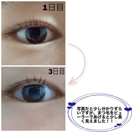 ラッシュティント/MAJOLICA MAJORCA/マスカラを使ったクチコミ(2枚目)