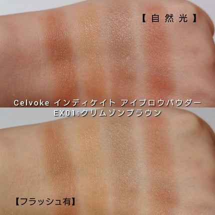 セルヴォーク インディケイトアイブロウパウダー/Celvoke/パウダーアイブロウを使ったクチコミ(5枚目)