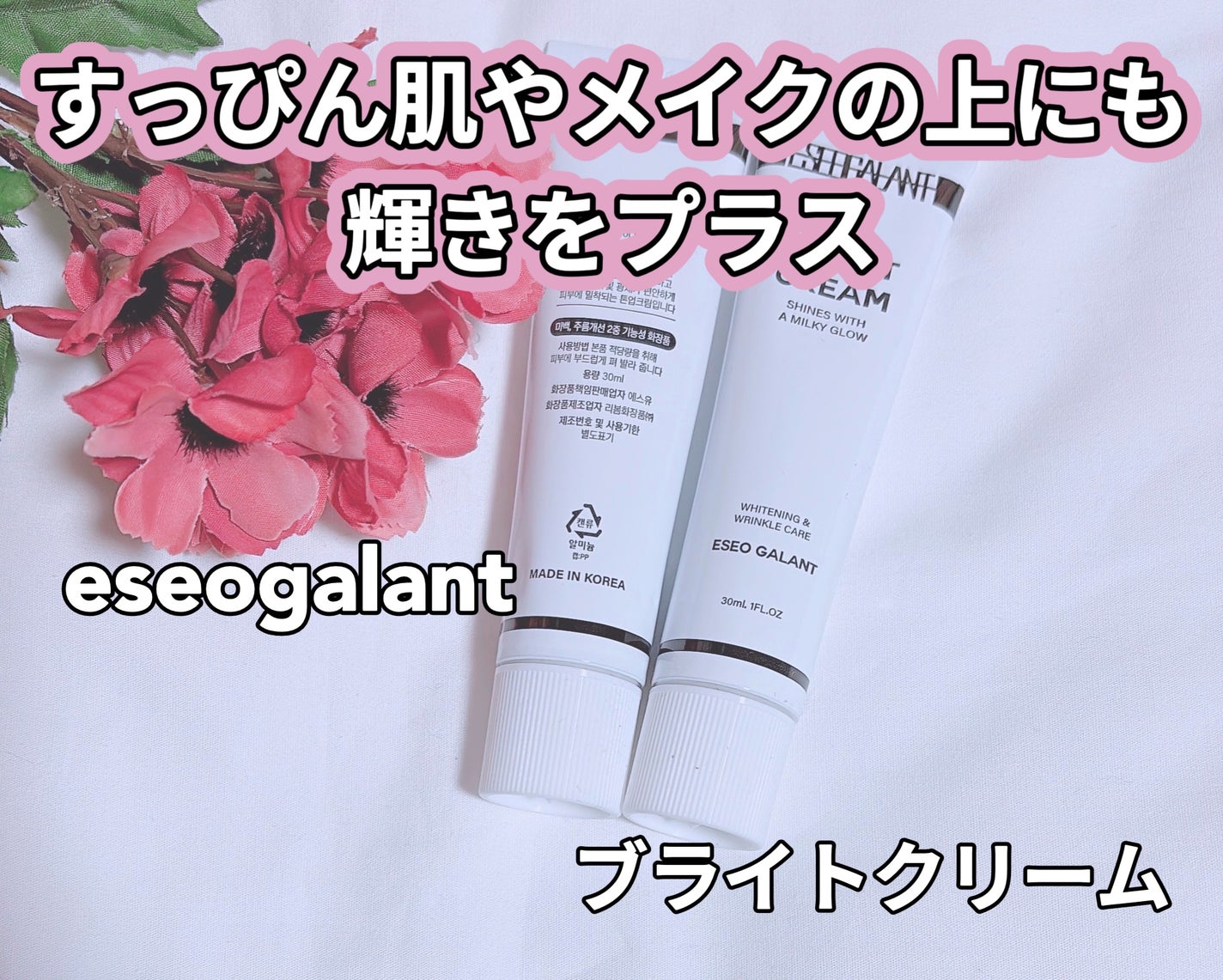 ブライトクリーム/eseogalant/化粧下地を使ったクチコミ(1枚目)