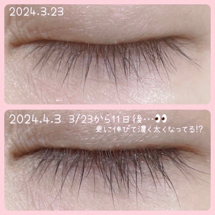 EMAKED(エマーキット)/水橋保寿堂製薬/まつげ美容液を使ったクチコミ(6枚目)