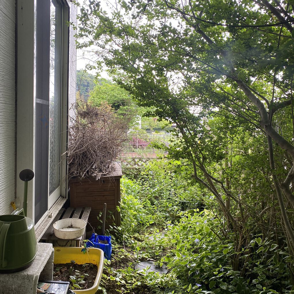 レチノールA 1% アドバンスドリバイタリゼーションクリーム/Life-flo/フェイスクリームを使ったクチコミ（1枚目）