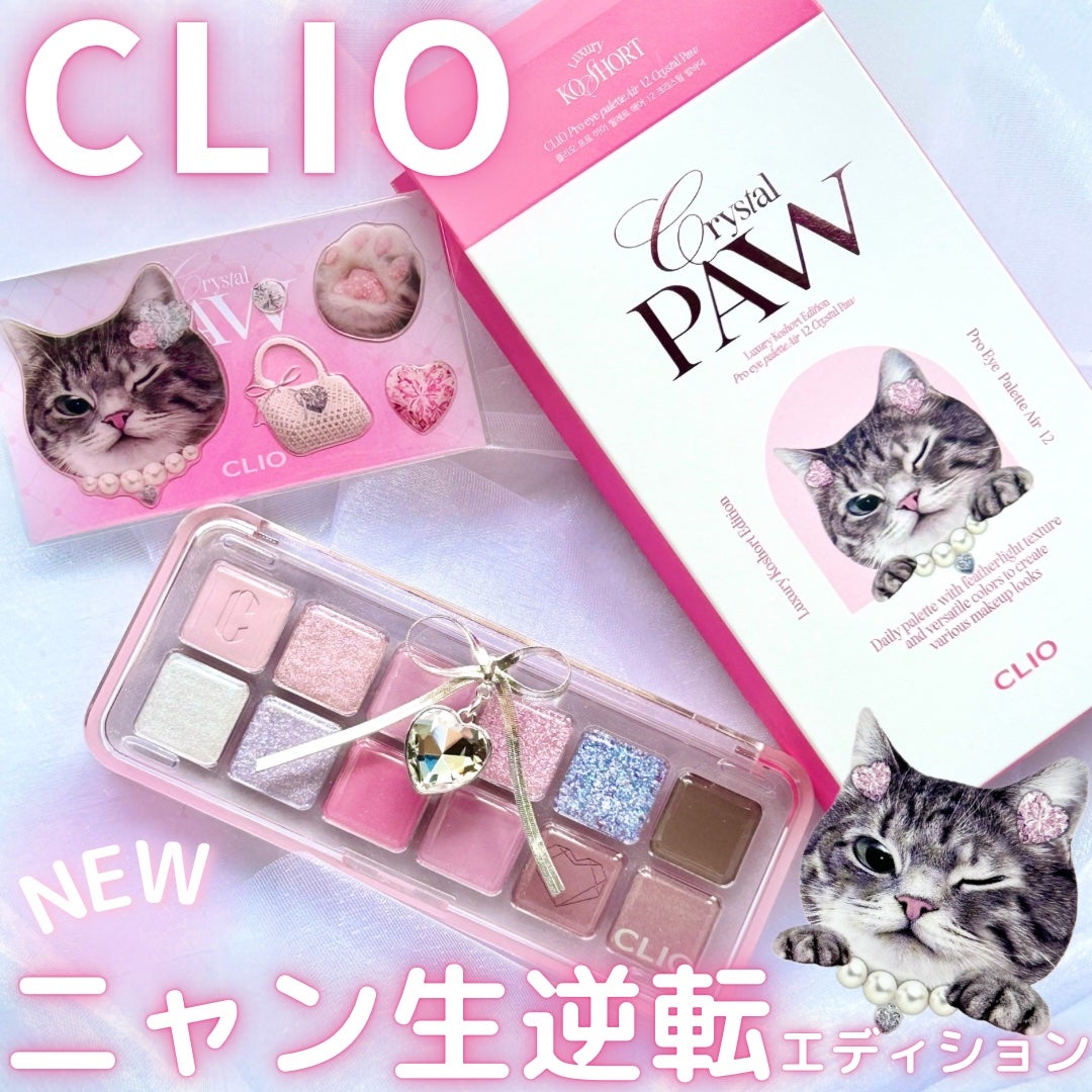 プロ アイ パレット エアー/CLIO/アイシャドウパレットを使ったクチコミ(1枚目)