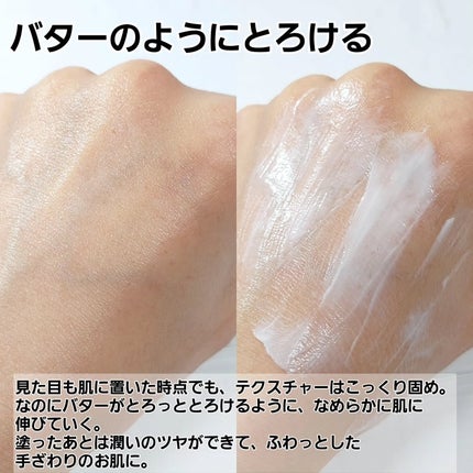 プラセンエストラックスクリーム/Bb lab./フェイスクリームを使ったクチコミ(4枚目)