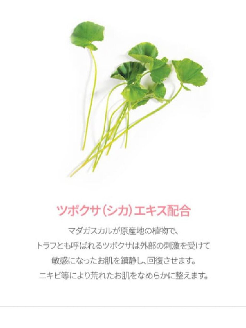 ピンクティーツリートナー/APLIN/化粧水を使ったクチコミ(5枚目)