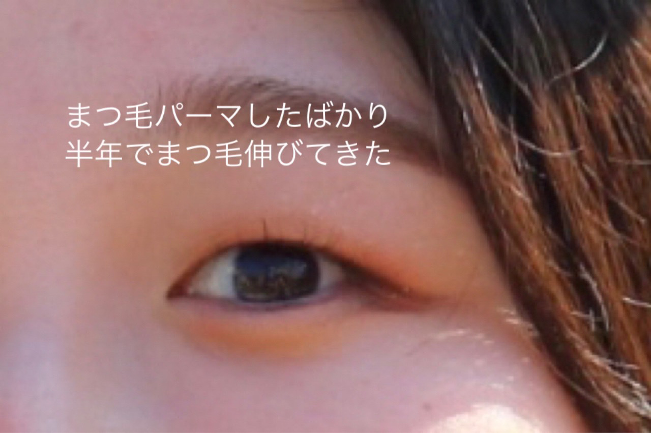 ラッシュジェリードロップ　ＥＸ/MAJOLICA MAJORCA/まつげ美容液を使ったクチコミ（3枚目）