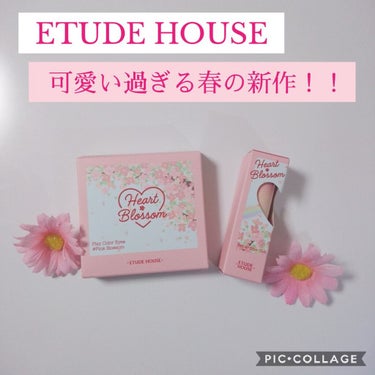 ハート ベターリップトーク/ETUDE/口紅を使ったクチコミ（1枚目）