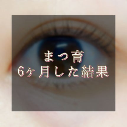 ラッシュエキスパンダー ロングロングロング/MAJOLICA MAJORCA/マスカラを使ったクチコミ(1枚目)