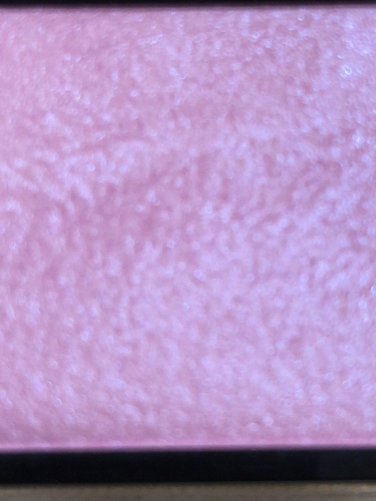 アディクション ザ ブラッシュ ニュアンサー/ADDICTION/パウダーチークを使ったクチコミ（2枚目）