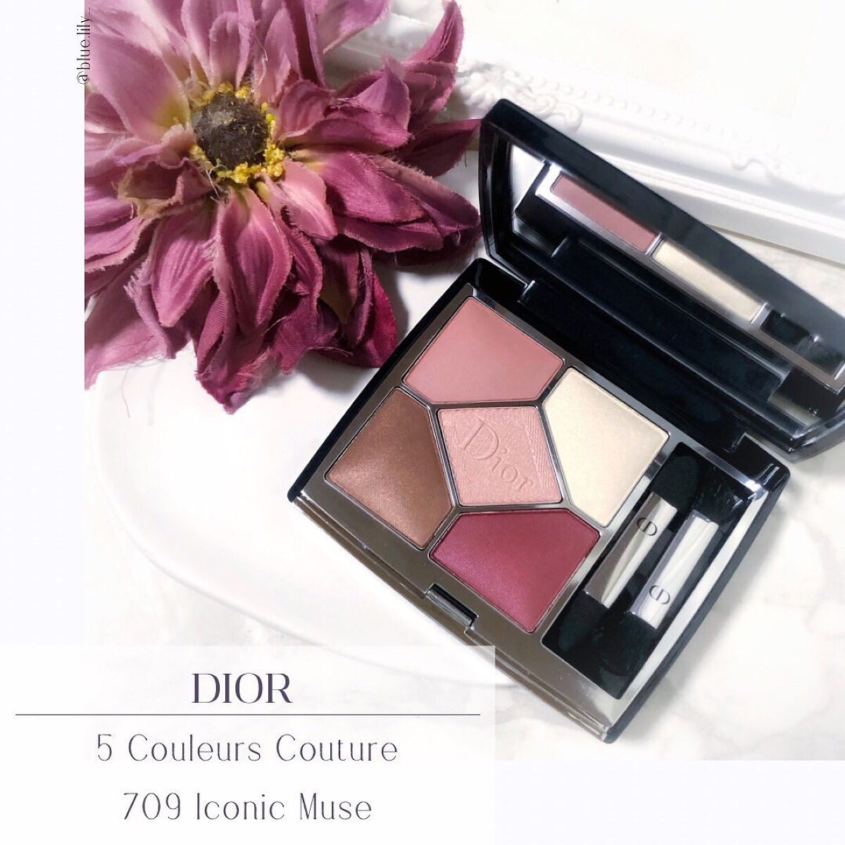 Dior サンククール 173 レトワール アイシャドウパレット ディオールショウ サンク クルール（プラン ドゥ パリ