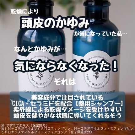 薬用スカルプケアシャンプー/トリートメント モイスト/WELLP/市販シャンプーを使ったクチコミ(2枚目)