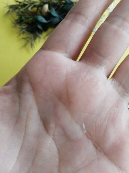 高品位「スクワラン」/HABA/フェイスオイルを使ったクチコミ(2枚目)