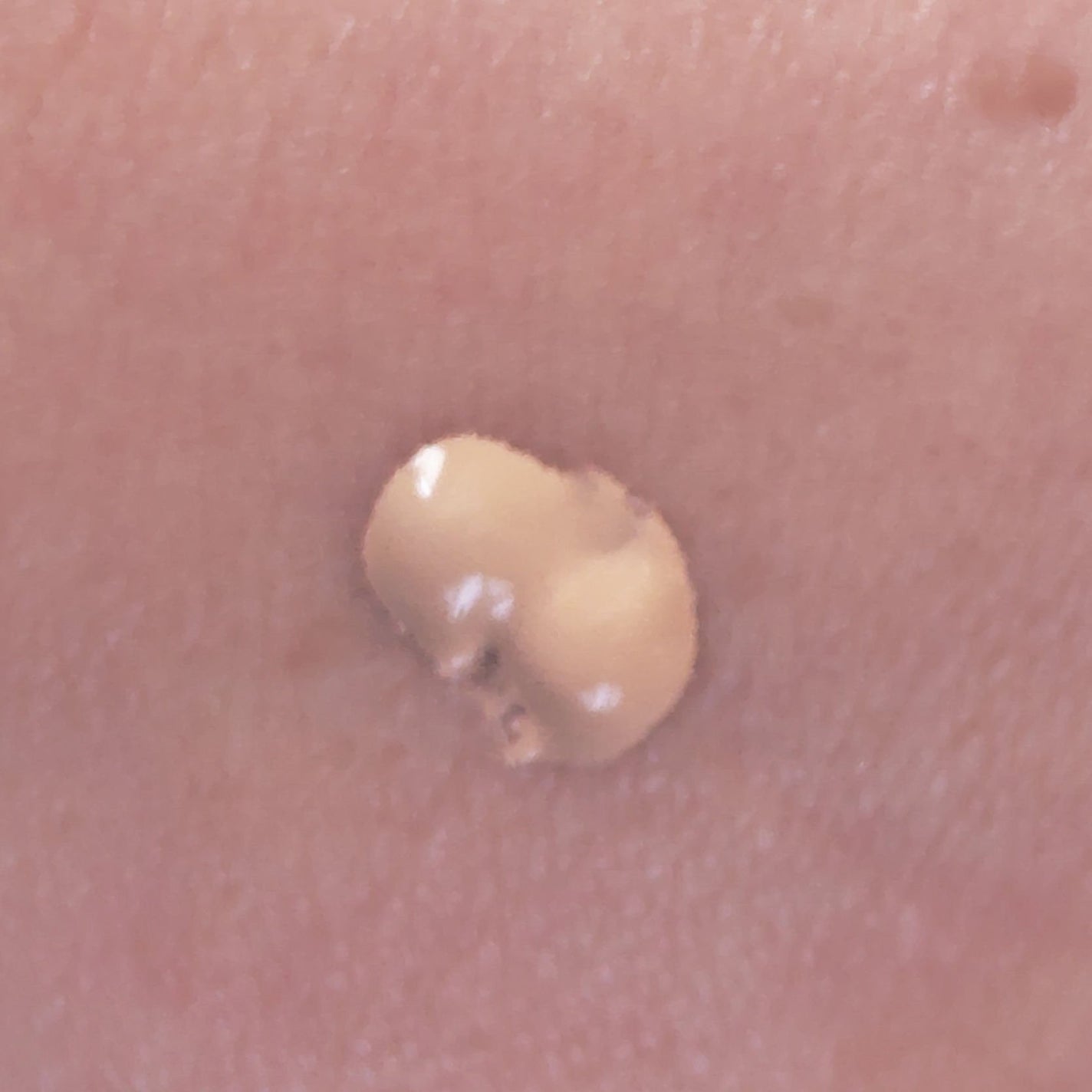 エクシア ベアヴィジョン ファンデーション/ALBION/リキッドファンデーションを使ったクチコミ(5枚目)