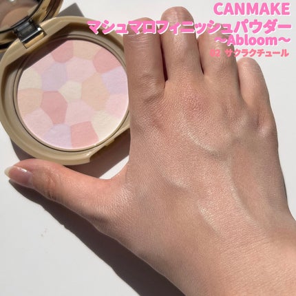 シルキースフレアイズ/キャンメイク/アイシャドウパレットを使ったクチコミ(6枚目)