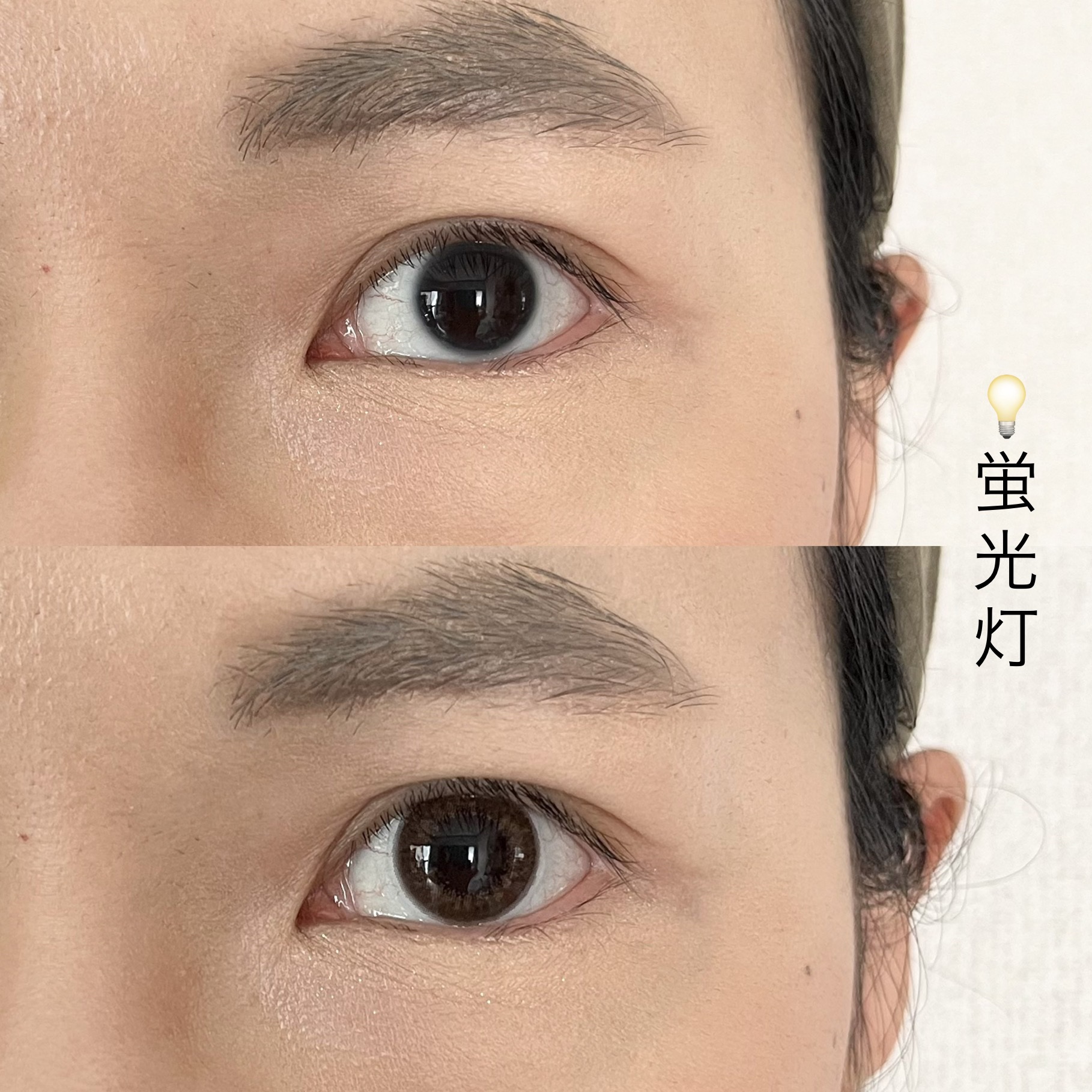 U.P.D. 1day ホログラムダリア/U.P.D./ワンデー（１DAY）カラコンを使ったクチコミ（2枚目）