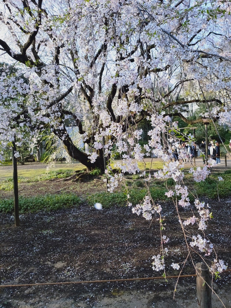 supreme_make_u1ew on LIPS 「よかったです!..」(3枚目)