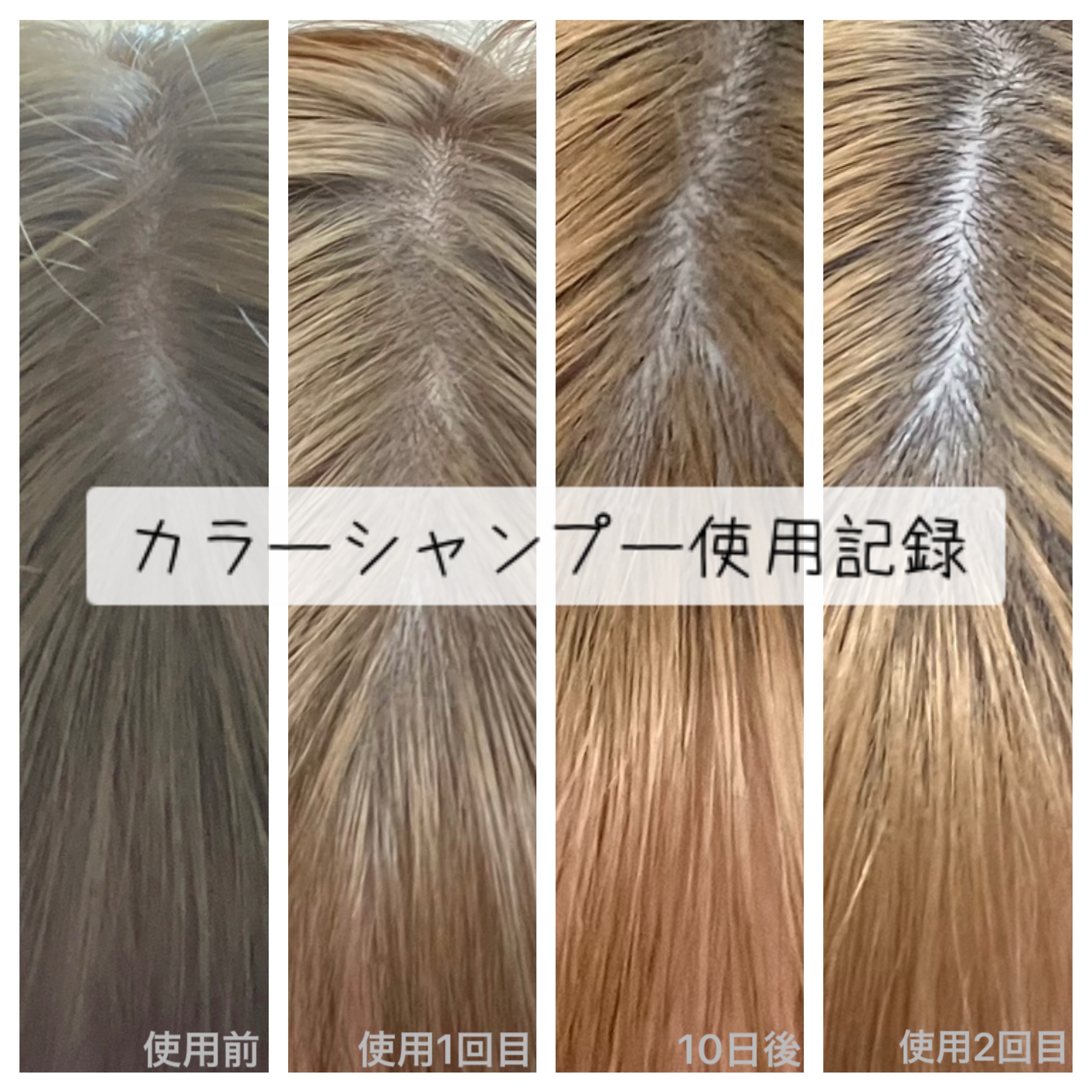 ボンディング・カラーシャンプー シルバー/got2b/市販シャンプーを使ったクチコミ（1枚目）