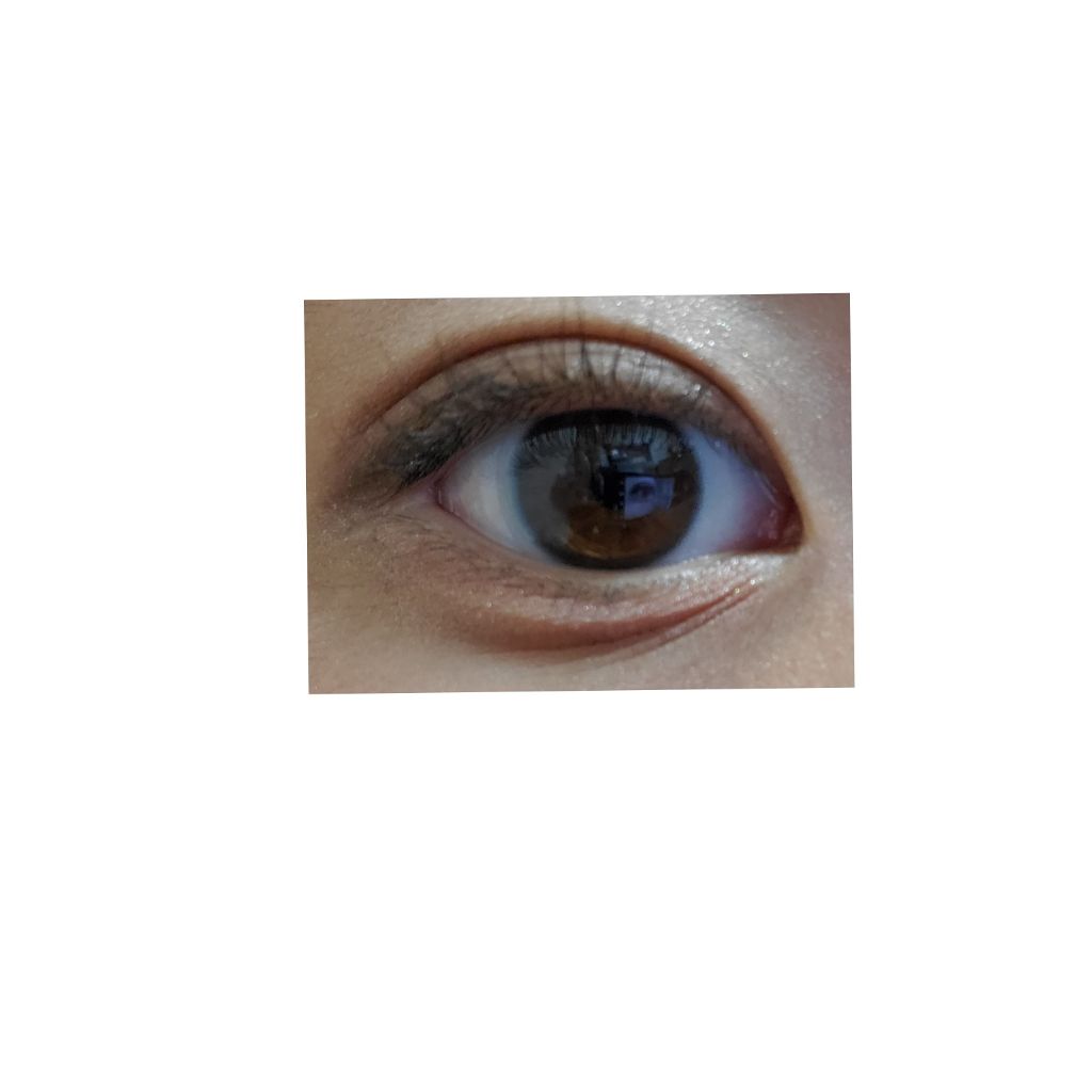 アイ カラー(チップ付)/ちふれ/アイシャドウパレットを使ったクチコミ（2枚目）