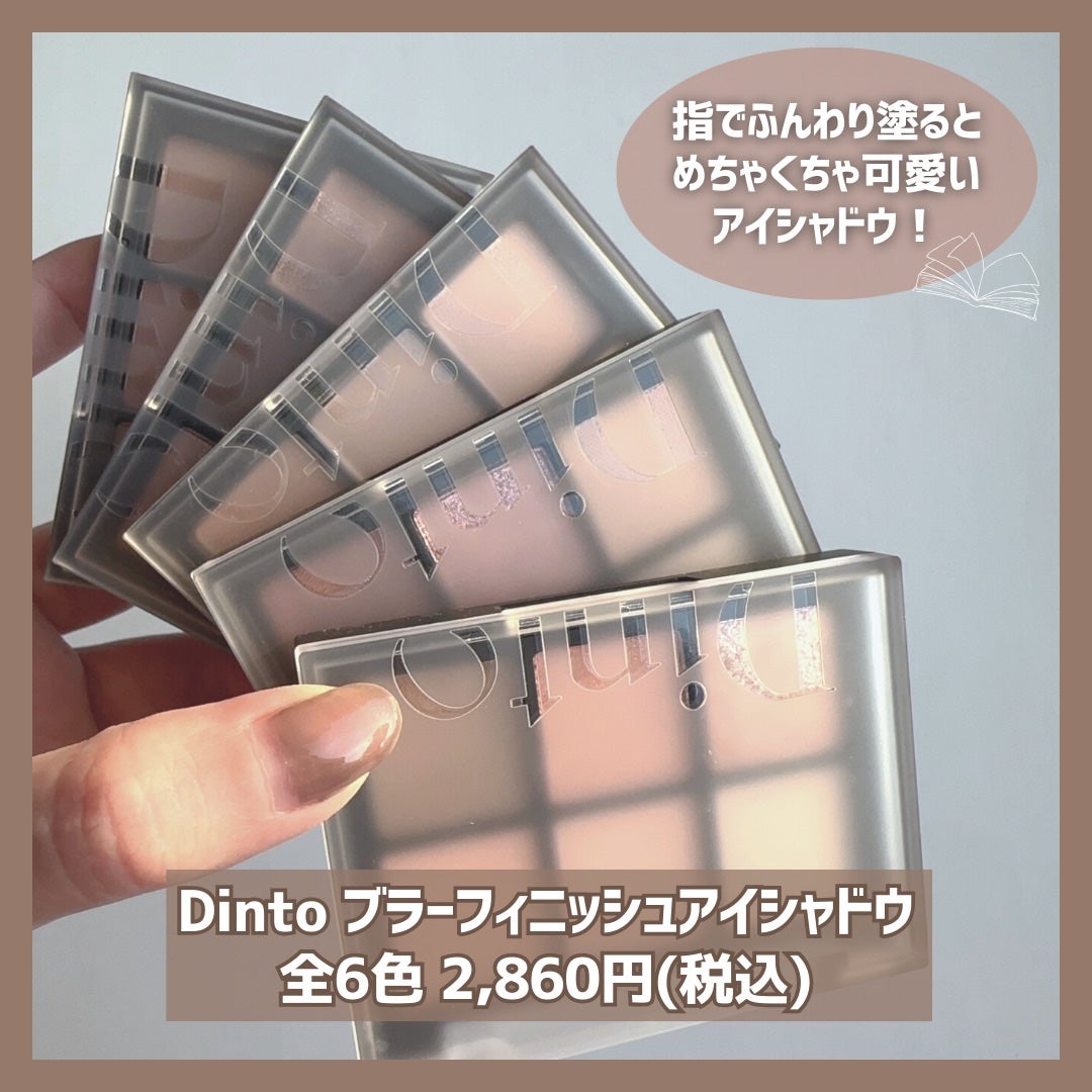 ブラーフィニシュシャドウパレット/Dinto/アイシャドウパレットを使ったクチコミ(2枚目)