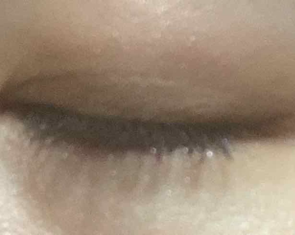 ロイヤルヴィンテージ アイズ/リンメル ロンドン/アイシャドウパレットを使ったクチコミ（2枚目）