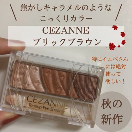 トーンアップアイシャドウ/CEZANNE/アイシャドウパレットを使ったクチコミ(1枚目)