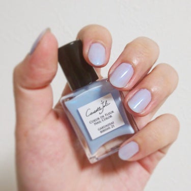 Coeur de Fleur Nail Color/Causette.Joli/マニキュアを使ったクチコミ（1枚目）