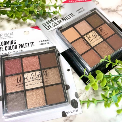 UR GLAM BLOOMING EYE COLOR PALETTE/U R GLAM/アイシャドウパレットを使ったクチコミ(1枚目)