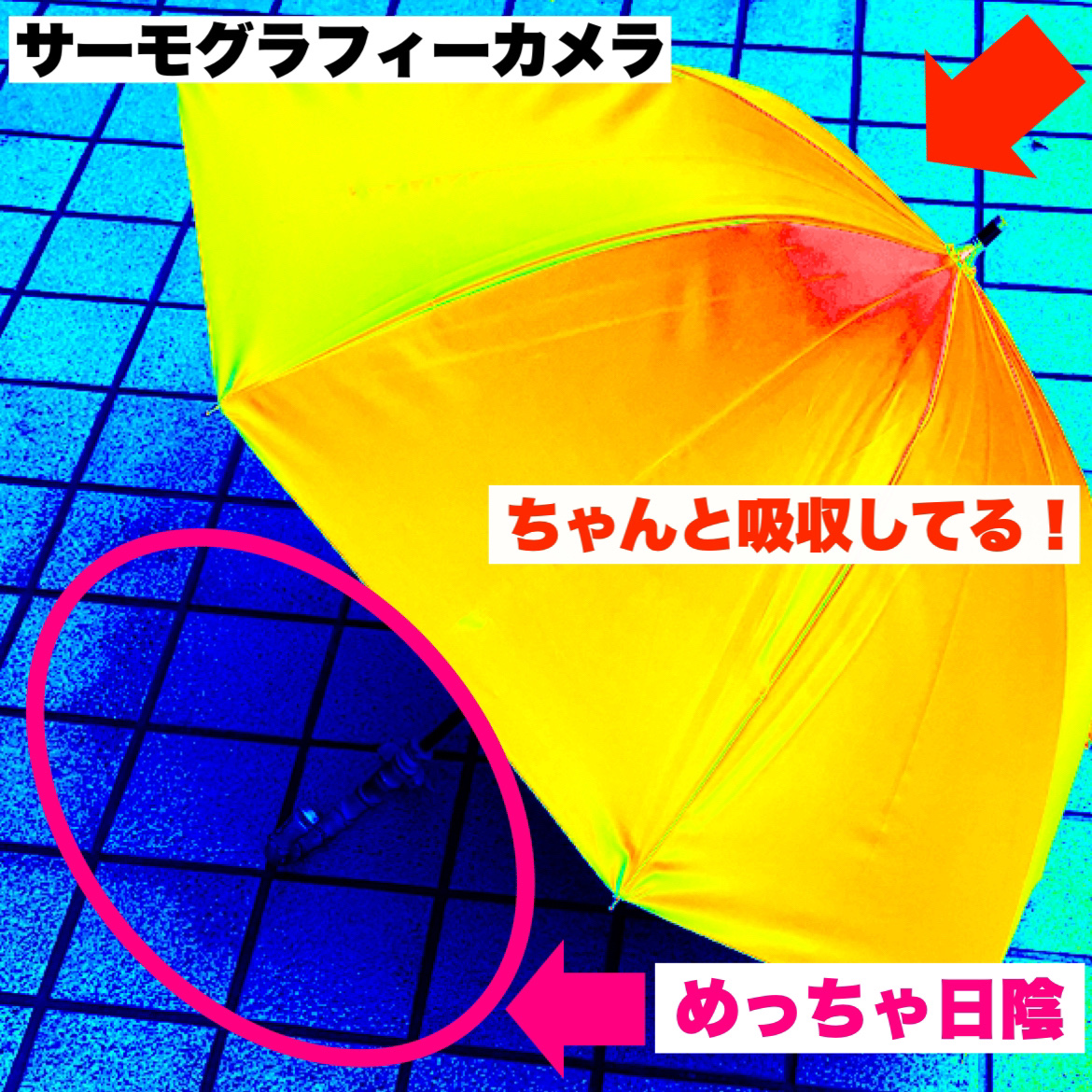 UVO(ウーボ)【8本骨/長傘】最強の日傘/UVO/日傘を使ったクチコミ（2枚目）