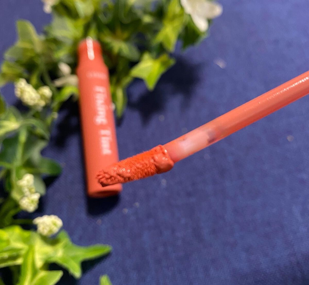 フィクシングティント/ETUDE/リップティントを使ったクチコミ(4枚目)