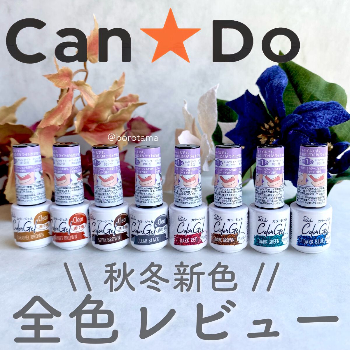 パル カラージェル/キャンドゥ/ジェルネイルを使ったクチコミ（1枚目）