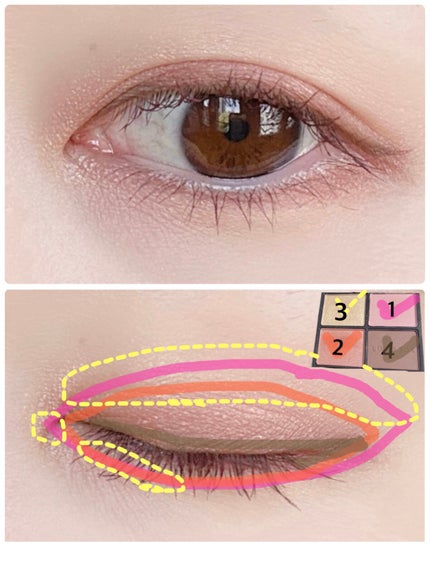 アイカラーレーション/LUNASOL/アイシャドウパレットを使ったクチコミ(3枚目)