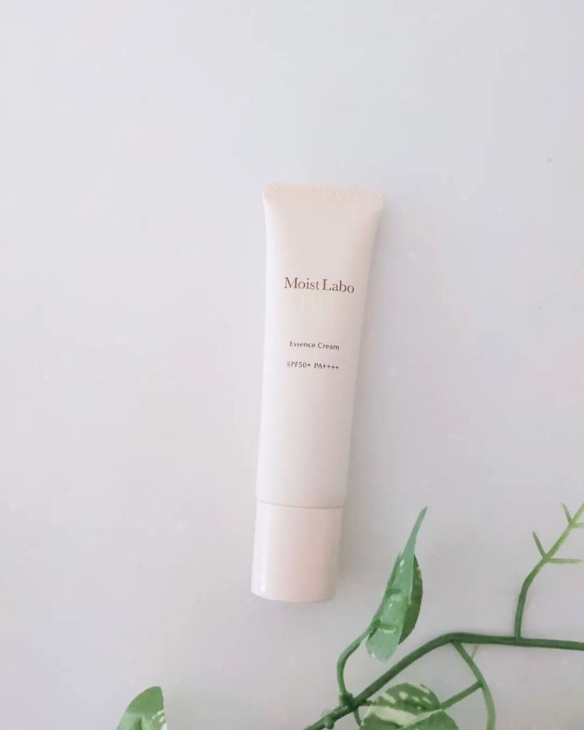 モイストラボ BBエッセンスクリーム/Moist Labo/BBクリームを使ったクチコミ（2枚目）