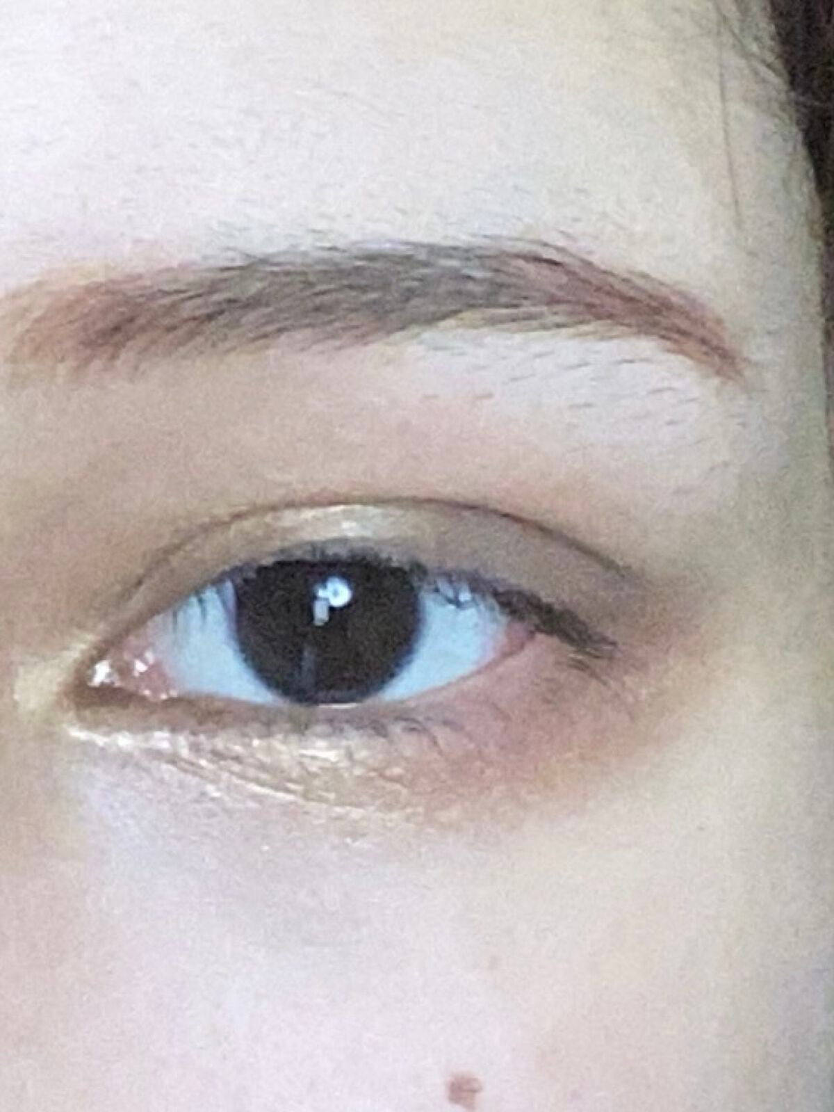 ディオール バックステージ アイ パレット/Dior/アイシャドウパレットを使ったクチコミ(6枚目)