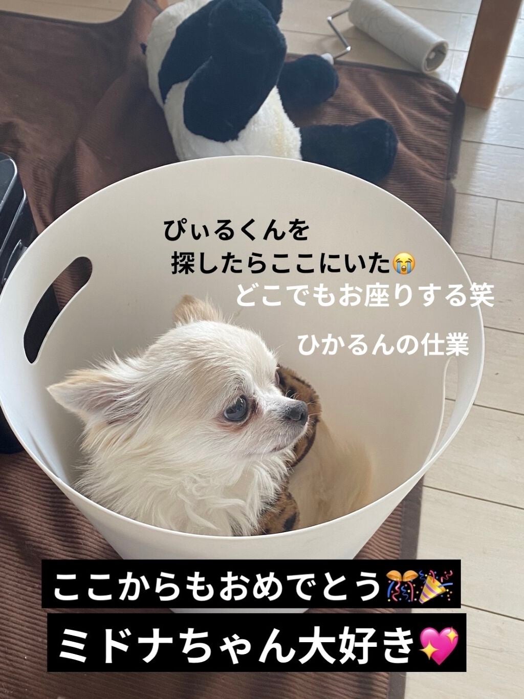 カラフルネイルズ/キャンメイク/マニキュアを使ったクチコミ(5枚目)