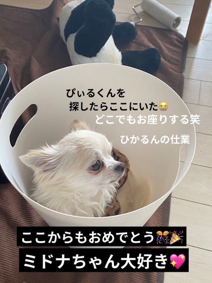 カラフルネイルズ/キャンメイク/マニキュアを使ったクチコミ(5枚目)