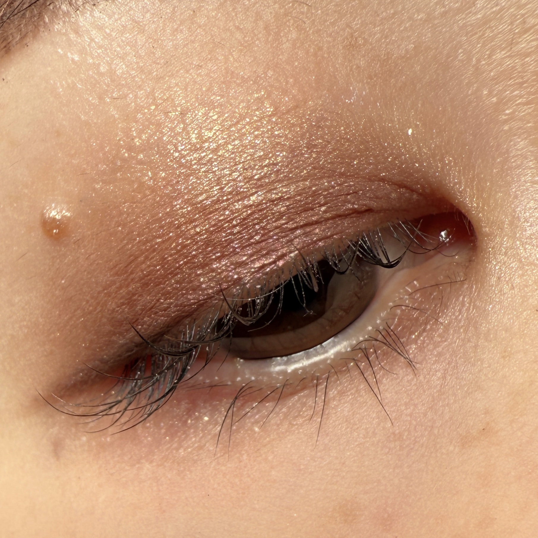 エレガンス コフレ パルピタン/Elégance/メイクアップキットを使ったクチコミ（3枚目）