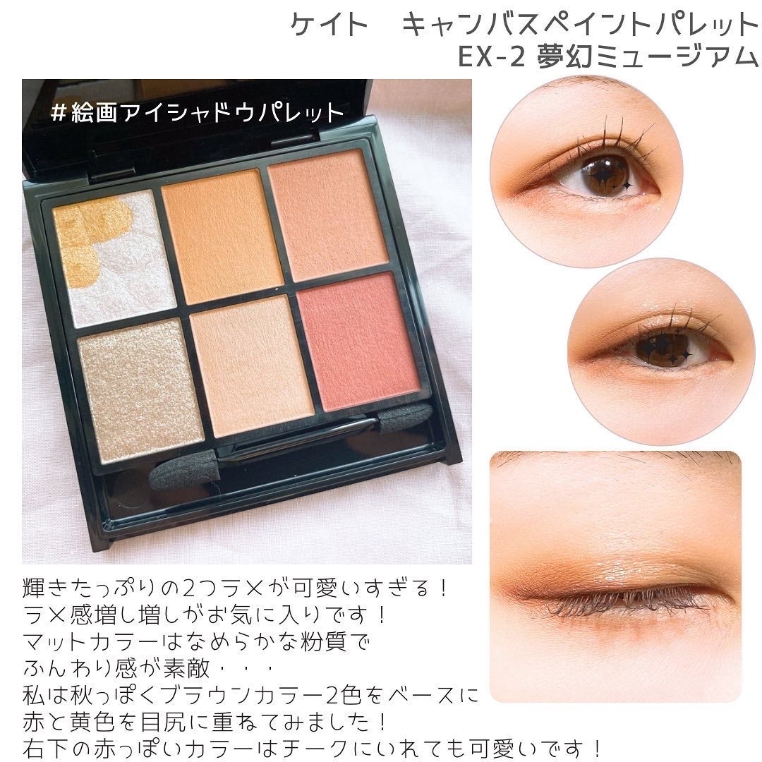 キャンバスペイントパレット/KATE/マルチパレットを使ったクチコミ(3枚目)