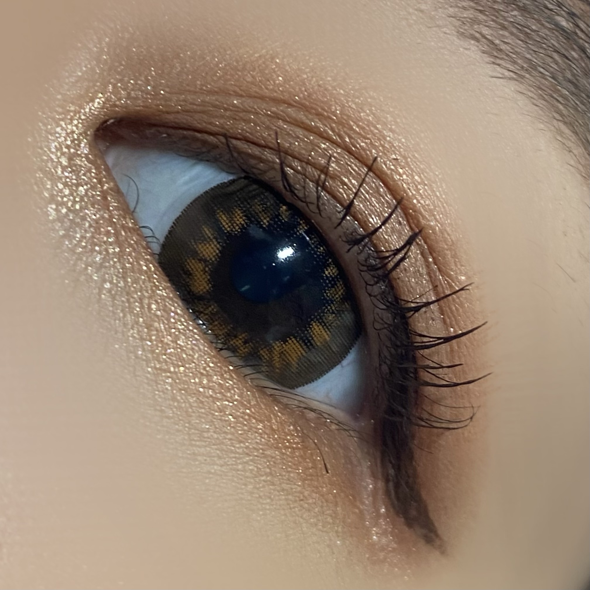 リュクス アイ & チーク パレット/BOBBI BROWN/アイシャドウパレットを使ったクチコミ（2枚目）