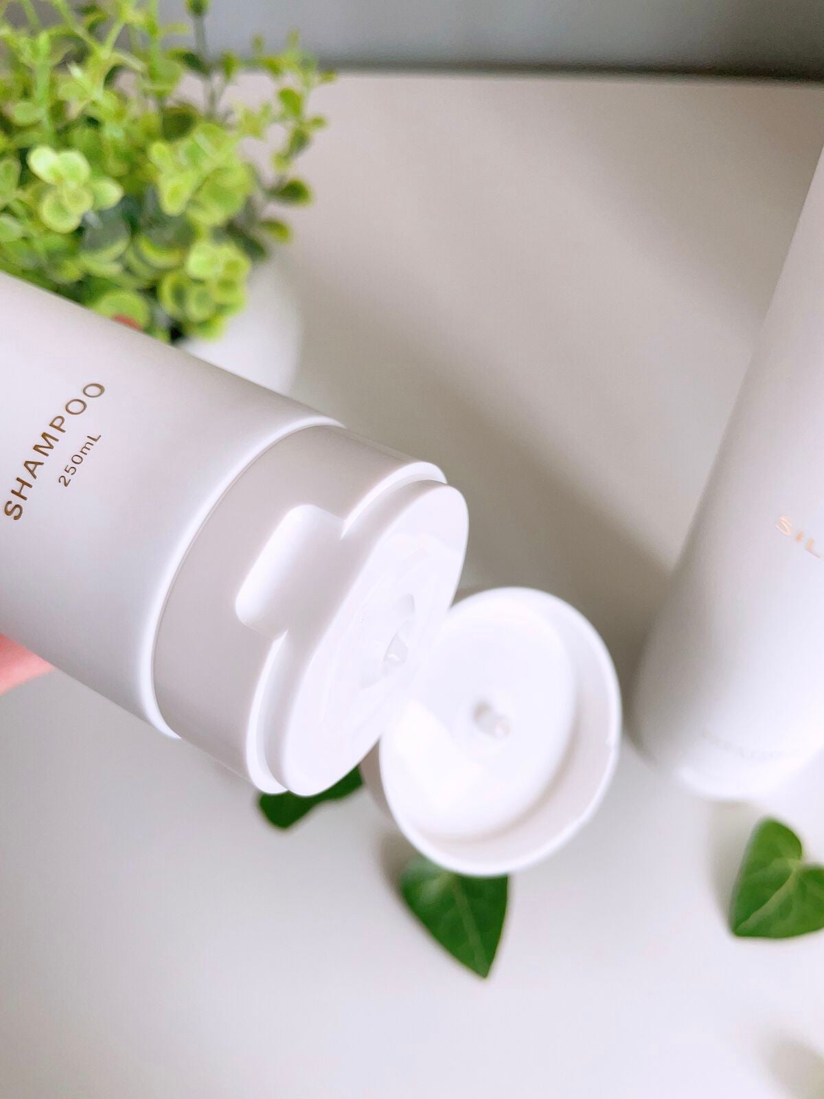 ãããðãã©ãã100 on LIPS ã究極ã®ã·ã«ã¯ã±ã¢èªçâšã·ã£ã³ããŒïŒããªãŒãã¡ã³ã@silk_t..ãïŒ2æç®ïŒ