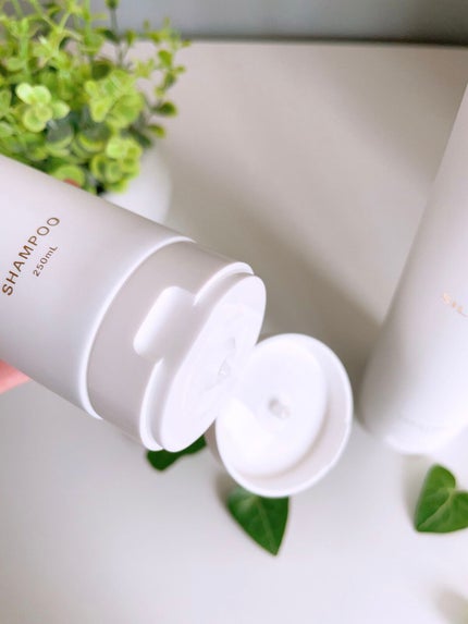 ãããðãã©ãã100 on LIPS ã究極ã®ã·ã«ã¯ã±ã¢èªçâšã·ã£ã³ããŒïŒããªãŒãã¡ã³ã@silk_t..ãïŒ2æç®ïŒ