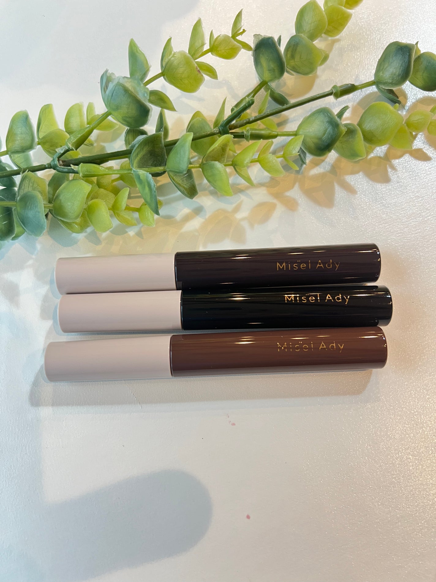 ミゼルエディ カールアップマスカラ/ミゼルエディ/マスカラを使ったクチコミ(2枚目)